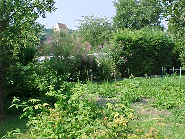 MVC-766S.JPG, 73150 bytes, 7/27/01