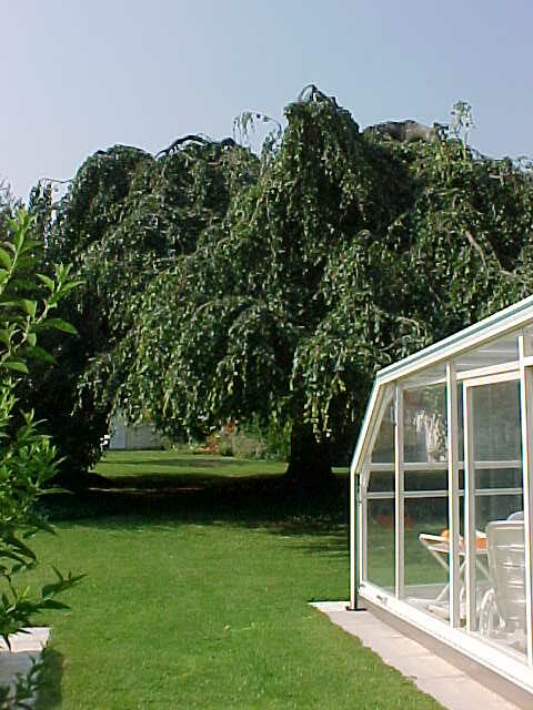 MVC-767S.JPG, 68727 bytes, 8/18/01